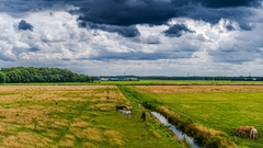 Kako je Holandija postala drugi najveći izvoznik hrane na svijetu uprkos maloj površini