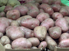 Uprkos suši bolji prinosi u Rogatici: Rod žitarica i krompira veći nego lani