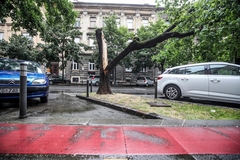 Jak vjetar čupao drveće u Zagrebu i Karlovcu 