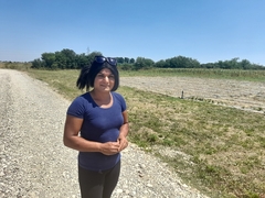 Projekti žena Romkinja: "Nova rješenja za stare probleme"