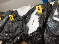 Zaplijenjeno 50 kilograma marihuane, uhapšeni muškarac i žena