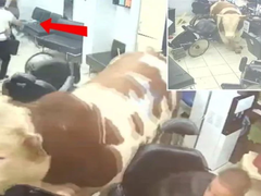 Haos u Istanbulu: Bik uletio u frizerski salon (VIDEO)