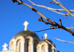 Danas Sveta mučenica Tatijana: Čuvala bolesnike, posjećivala zatvorenike, pomagala siromašnima