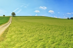 Danas uglavnom sunčano, do 33 stepena Celzijusova