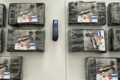 Austrijske Kobre uhapsile državljane BiH sa drogom vrijednom milion evra