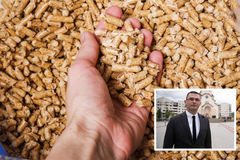 Profesor Marko Đogo objasnio zašto cijene peleta divljaju u Republici Srpskoj