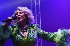 Koliko balkanske muzičke zvijezde zarade na svadbama