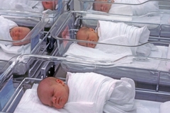 U Republici Srpskoj rođena 31 beba