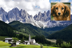 Italijanski grad uvodi taksu za pse: Turisti plaćaju 1,50 evra dnevno u Bolcanu