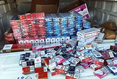 Oduzeto 3.500 kutija cigareta bez akciznih markica