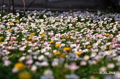 VELIKA PROGNOZA ZA PROLJEĆE Balkan očekuju poplave i oluje