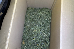 Hapšenje u Šamcu: Pronađeno skoro četiri kg droge