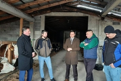 Mladi farmeri u BiH modernizuju proizvodnju i uvode nove tehnologije: Roboti muzu krave