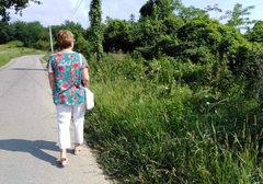 Zabilježen porast POLENA AMBROZIJE: Osobe sklone alergijama pojačajte brigu o svom zdravlju