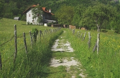 Čak 195 naselja u Hrvatskoj bez ijednog stanovnika