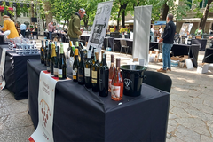 U Trebinju otvoren festival vina, prisutno više od 60 izlagača
