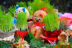 Evo kada je pravo vrijeme da posadite BOŽIĆNU PŠENICU