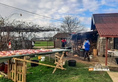 Tradicionalni svinjokolj u Semberiji u manjem obimu zbog afričke kuge