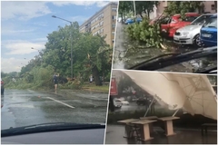 Snažno nevrijeme pogodilo Srbiju: Vjetar lomio stabla