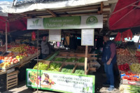 Organska proizvodnja u Semberiji u začecima