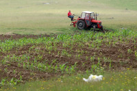 Počinje podjela dizel-goriva poljoprivrednicima - 100 litara po hektaru obradive površine