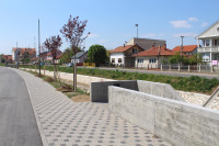 Novi drvored na šetalištu pored Dašnice /FOTO/