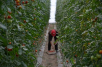 Produžen rok privrednicima za prijave za dodjelu sredstava za april