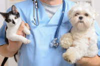 Bijeljinske veterinarske službe rade uz mjere zaštite