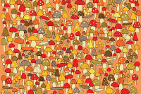 Rijetki su ga uočili, možda baš vi imate "oko sokolovo": Da li među ovim pečurkama možete da pronađete jednog miša?