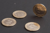 U BiH u upotrebi nove kovanice od 2 KM, razlikuju li se od starih?