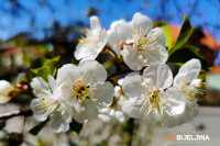 Pogledajte kakvo nas vrijeme očekuje do polovine maja