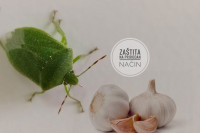 Domaće sredstvo protiv smrdibuba