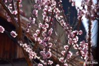 Vremenska prognoza za predstojeće dane