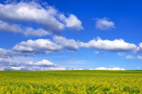 Danas pretežno oblačno i veoma toplo