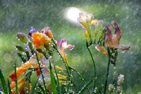 Danas promjenljivo oblačno, mjestimično moguće padavina