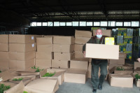 Prskalice i rasad malim poljoprivrednim proizvođačima u Semberiji /FOTO/