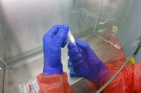 Broj novozaraženih koronom u Srbiji ispod jedan odsto, nema preminulih