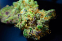 Istraživači vjeruju da se kanabis koristio u drevnom izraelskom svetištu