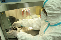 IZLOŽENIJI KORONI Ljudi s krvnom grupom A posebno ugroženi