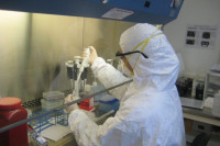 U Srpskoj osam novih slučajeva virusa korona