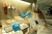 JOŠ 26 SLUČAJEVA KORONE Najviše novozaraženih iz Zvornika