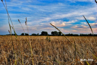 Sutra sunčano i toplije