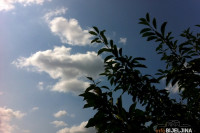 Danas sunčano, poslijepodne mogući pljuskovi