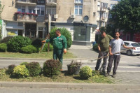 RADNICI KOMUNALCA: Za ljepši i čistiji grad