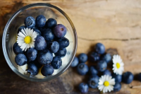 Borovnice i avokado idealni za rad mozga