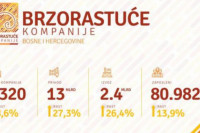 U BiH prošle godine 1.320 firmi ostvarilo 13 milijardi KM prihoda