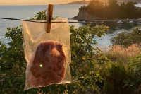 Fotografija postala hit na Fejsbuku zbog onoga što VISI NA ŠTRIKU