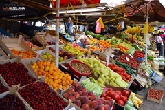 Koje vrste voća se najviše proizvode u BiH?