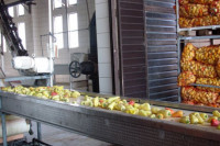 Sava Semberija spremna za preradu dodatnih 8.000 tona povrća