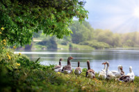 Danas pretežno sunčano, temperatura do 34 stepena